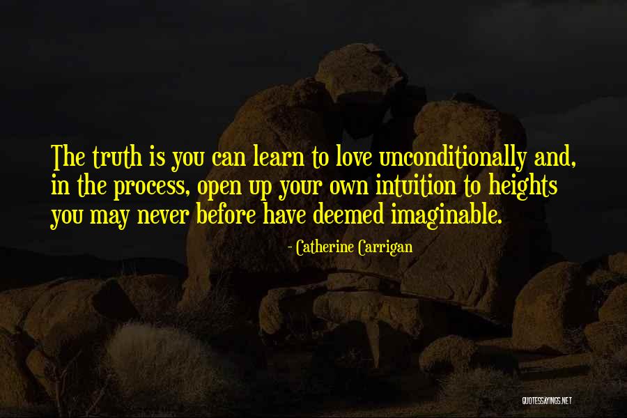 Lestrades Rank Quotes By Catherine Carrigan Lestrades Rank Quotes By Catherine Carrigan