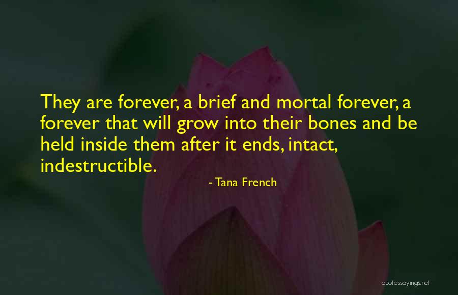 Lesz K Ildi Kif Zd Je Quotes By Tana French Lesz K Ildi Kif Zd Je Quotes By Tana French