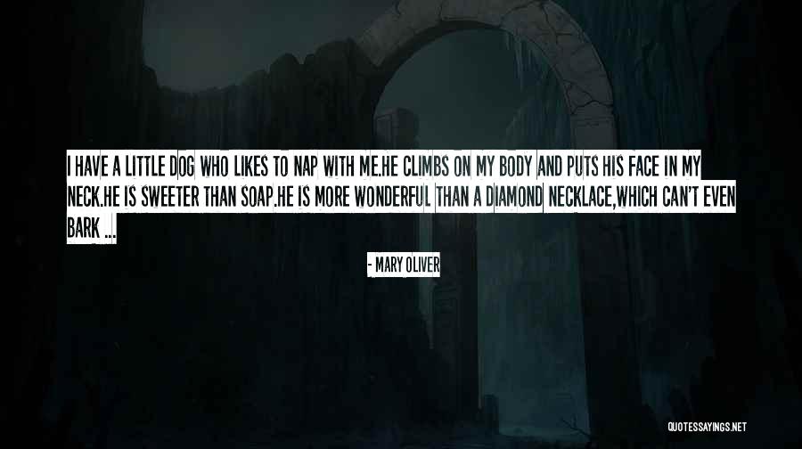 Let Dogs Bark Quotes By Mary Oliver Let Dogs Bark Quotes By Mary Oliver