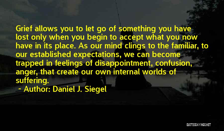 Let Go Of Anger Quotes By Daniel J. Siegel
