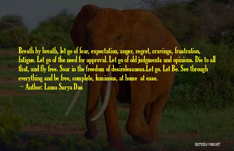 Let Go Of Anger Quotes By Lama Surya Das