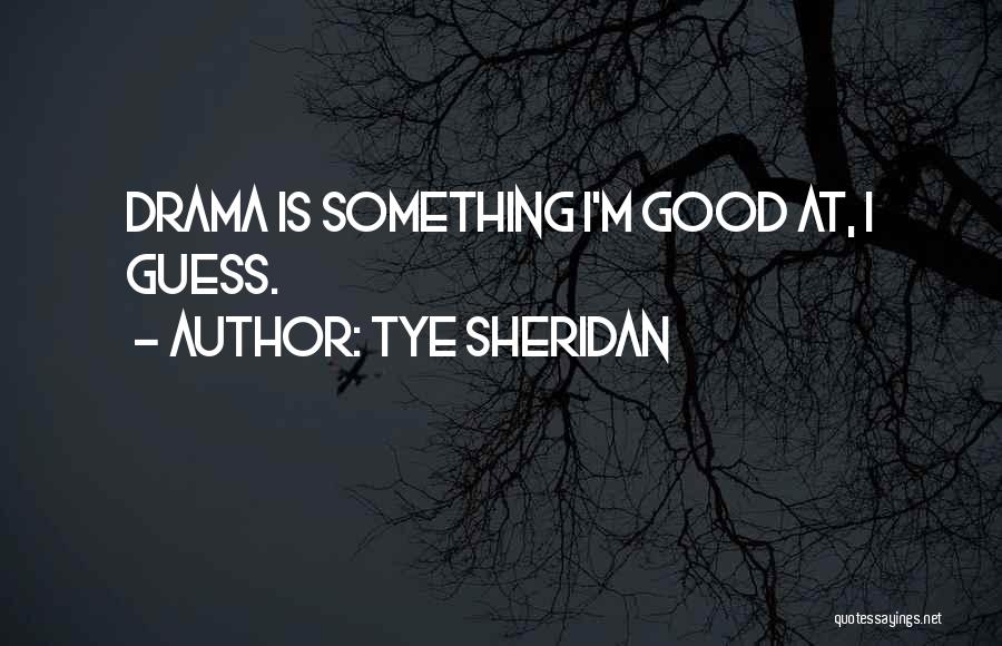 Let Go Of Drama Quotes By Tye Sheridan