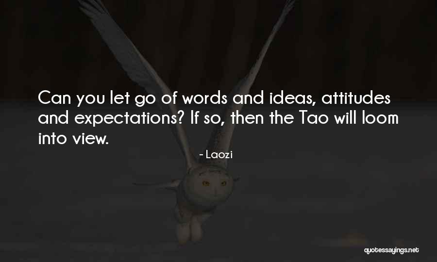 Let Go Of Expectations Quotes By Laozi