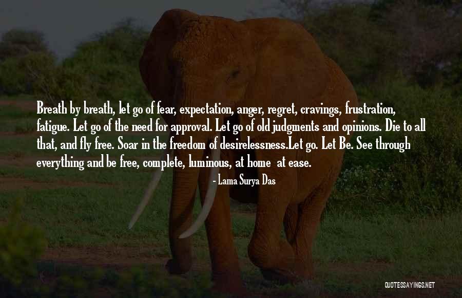 Let Go Of Fear Quotes By Lama Surya Das Let Go Of Fear Quotes By Lama Surya Das