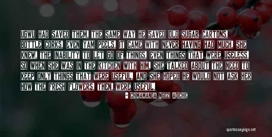 Let Go Things Quotes By Chimamanda Ngozi Adichie Let Go Things Quotes By Chimamanda Ngozi Adichie