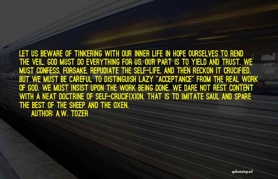 Let God Do The Work Quotes By A.W. Tozer