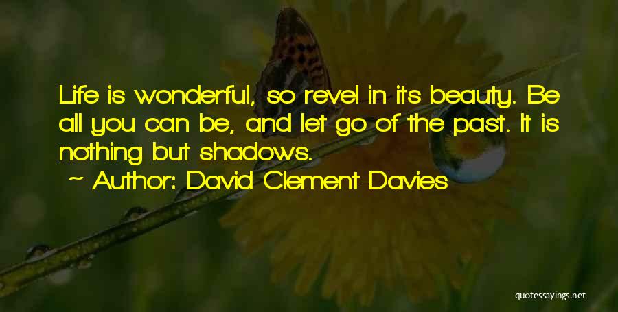 Let It Go Of The Past Quotes By David Clement-Davies