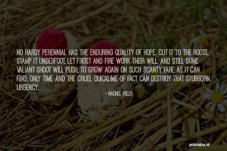 Let It Grow Quotes By Rachel Field Let It Grow Quotes By Rachel Field