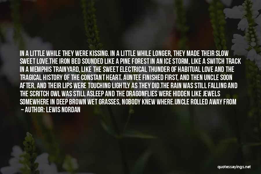 Let It Rain Quotes By Lewis Nordan
