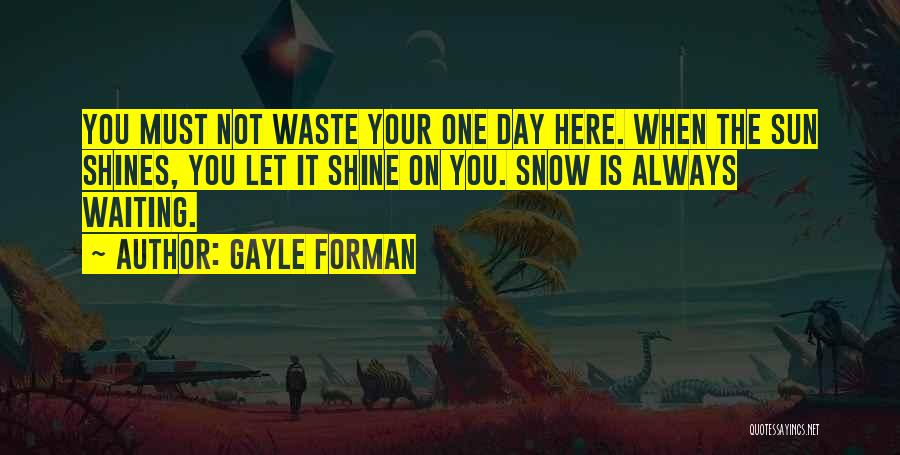 Let It Shine Quotes By Gayle Forman