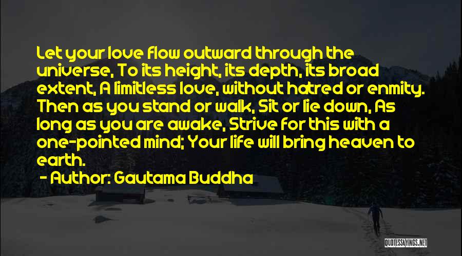 Let Life Flow Quotes By Gautama Buddha