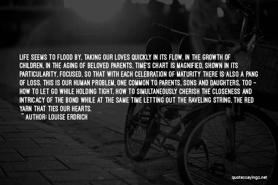 Let Life Flow Quotes By Louise Erdrich