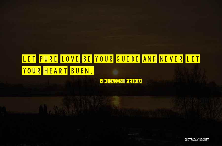 Let Love Be Your Guide Quotes By Debasish Mridha