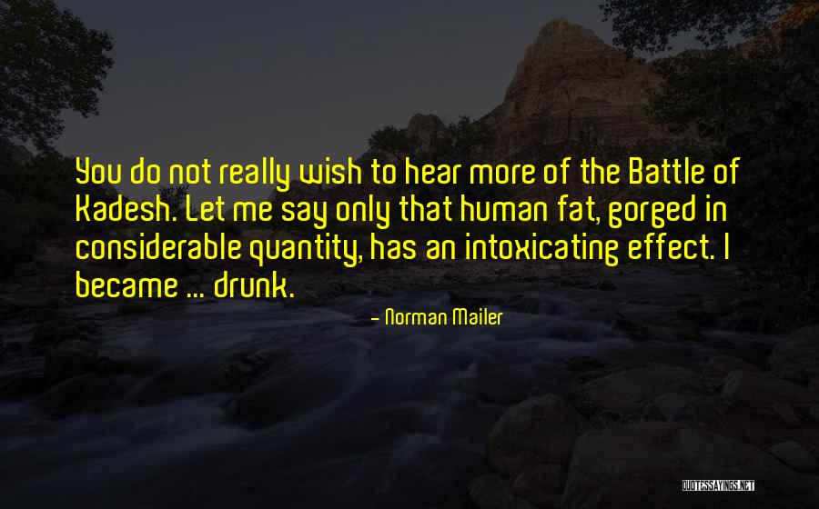 Let Me Do That Quotes By Norman Mailer Let Me Do That Quotes By Norman Mailer