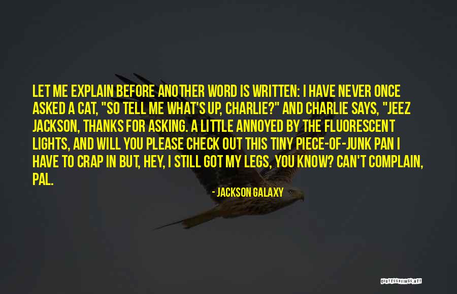 Let Me Explain Quotes By Jackson Galaxy Let Me Explain Quotes By Jackson Galaxy