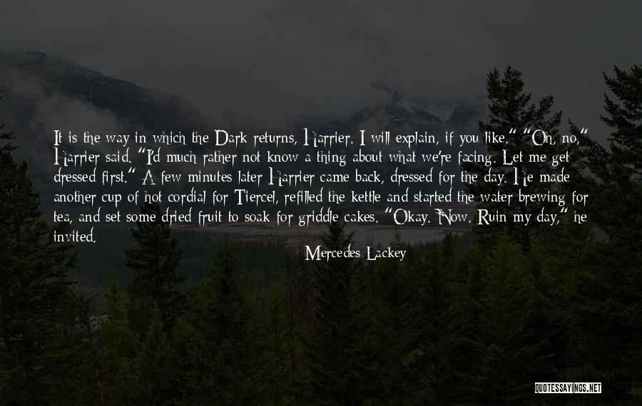 Let Me Explain Quotes By Mercedes Lackey Let Me Explain Quotes By Mercedes Lackey