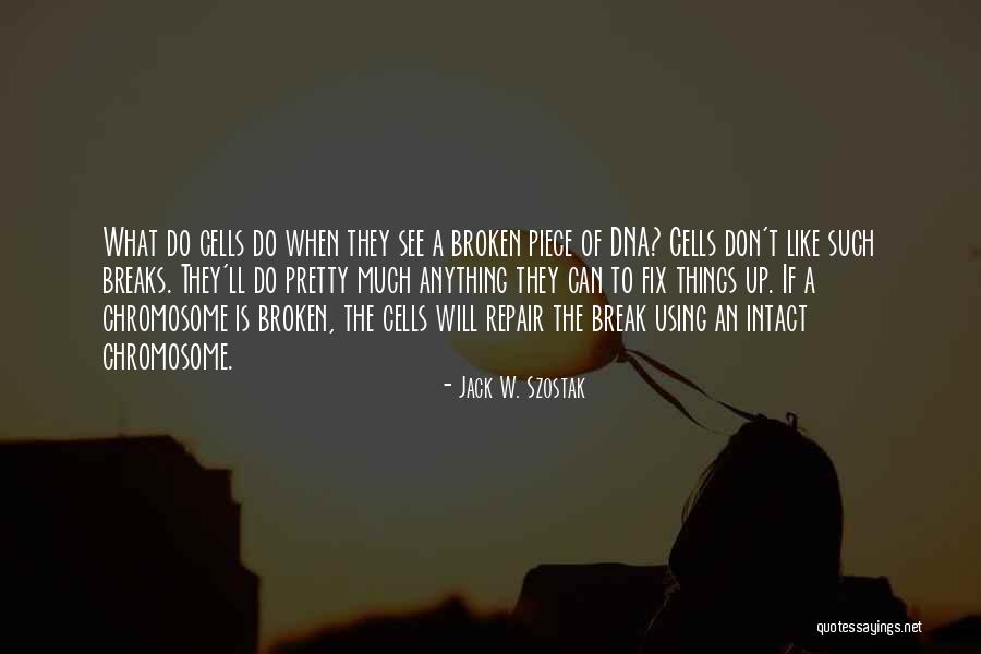 Let Me Fix This Quotes By Jack W. Szostak Let Me Fix This Quotes By Jack W. Szostak