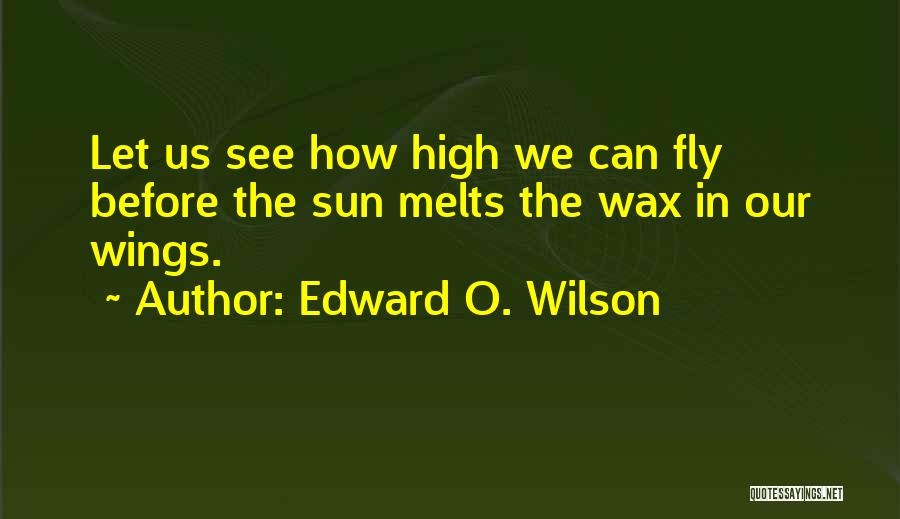 Let Me Fly High Quotes By Edward O. Wilson