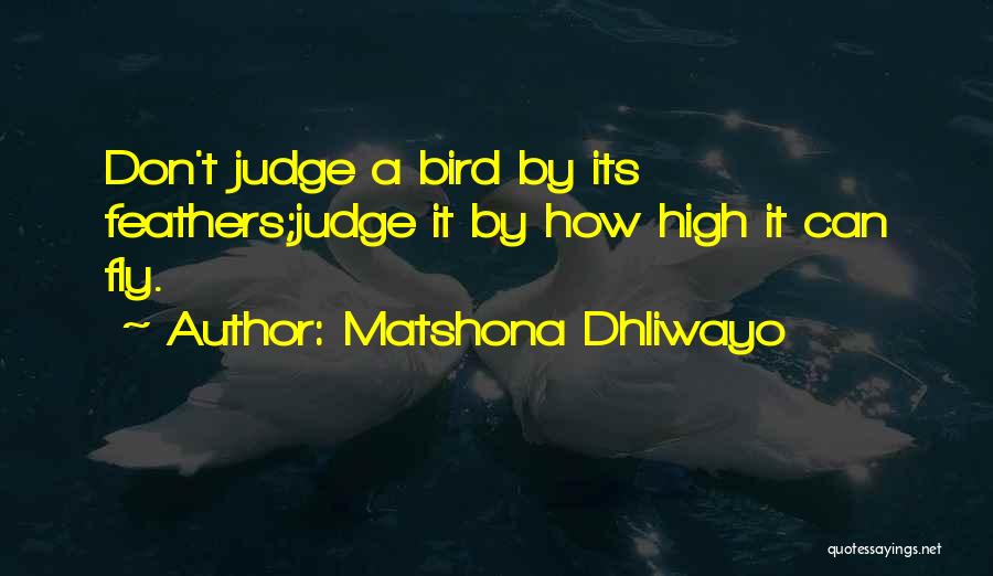 Let Me Fly High Quotes By Matshona Dhliwayo