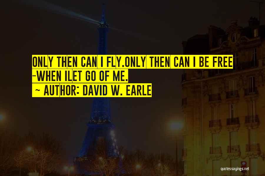 Let Me Fly Quotes By David W. Earle