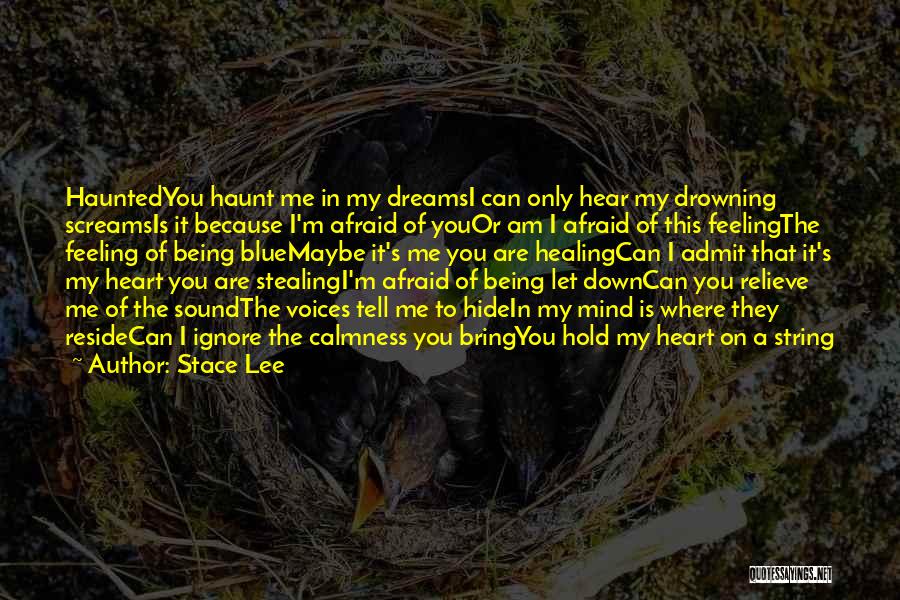 Let Me Hold You Down Quotes By Stace Lee