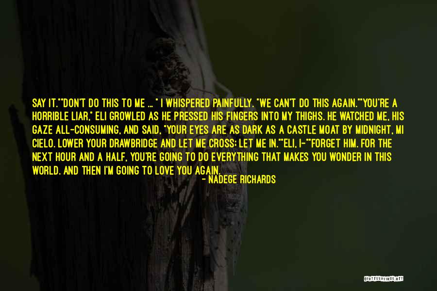 Let Me Love You Again Quotes By Nadege Richards