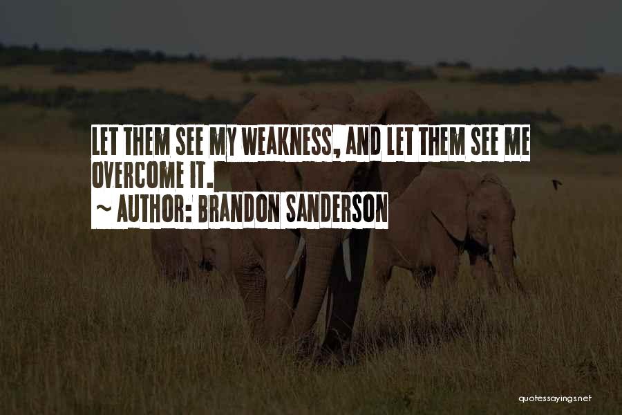 Let Me See Quotes By Brandon Sanderson