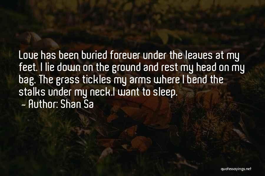 Let Me Sleep Forever Quotes By Shan Sa