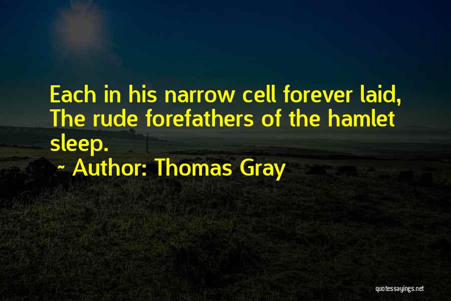 Let Me Sleep Forever Quotes By Thomas Gray