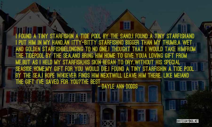 Let Me Take You There Quotes By Dayle Ann Dodds Let Me Take You There Quotes By Dayle Ann Dodds