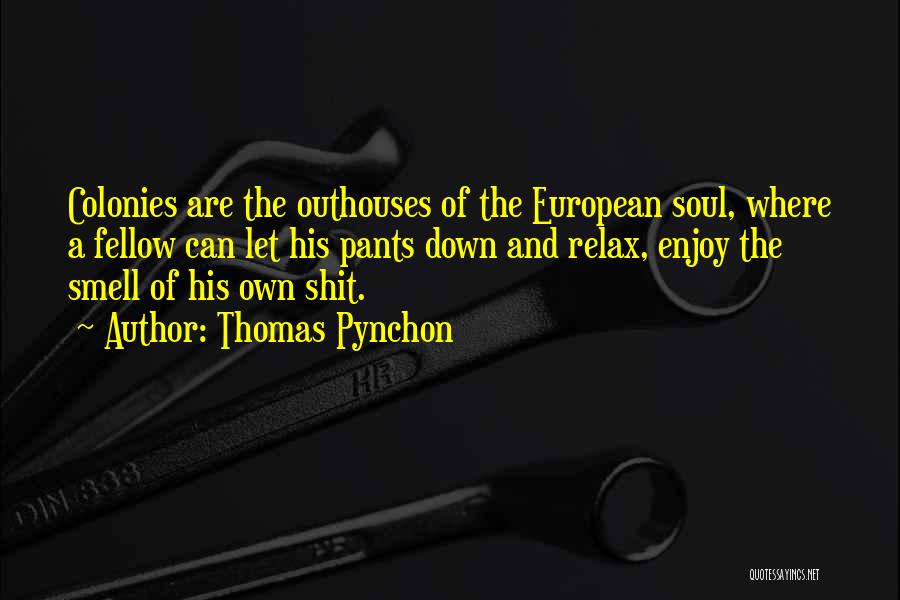 Let Quotes By Thomas Pynchon