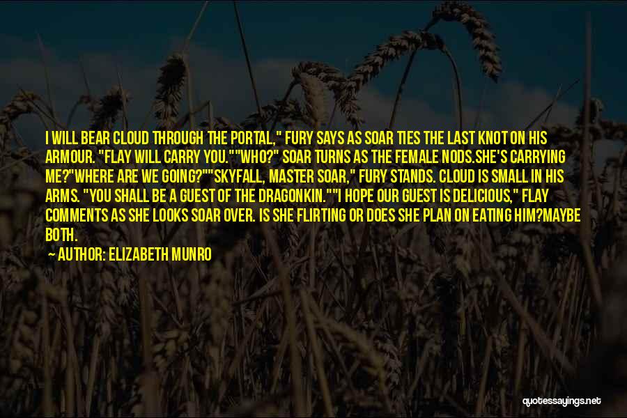 Let The Skyfall Quotes By Elizabeth Munro