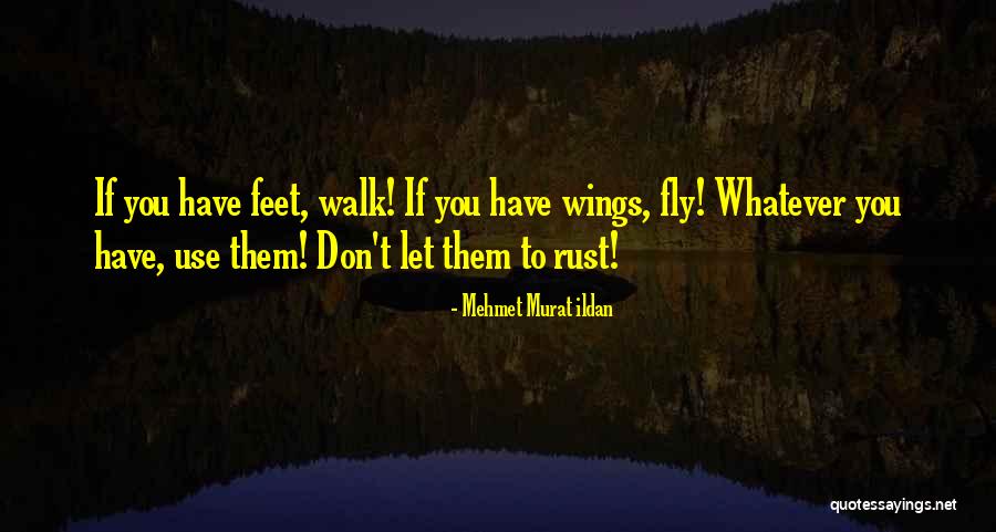 Let Them Walk Quotes By Mehmet Murat Ildan