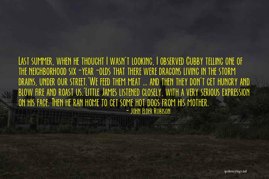 Let There Be Dragons Summer Quotes By John Elder Robison Let There Be Dragons Summer Quotes By John Elder Robison