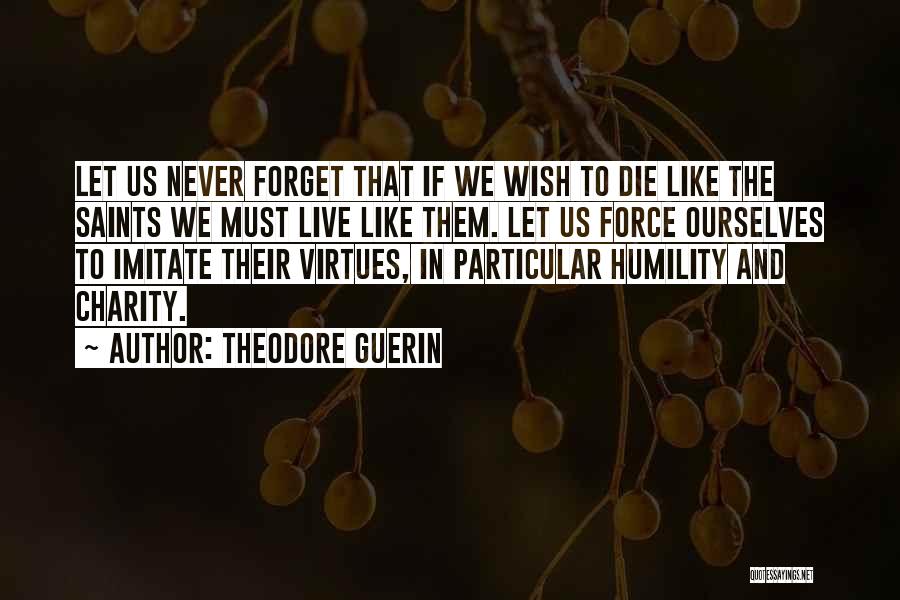 Let Us Never Forget Quotes By Theodore Guerin