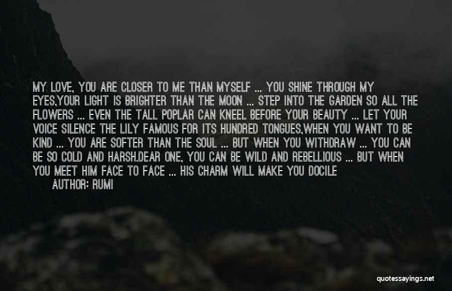 Let Your Light Shine Quotes By Rumi