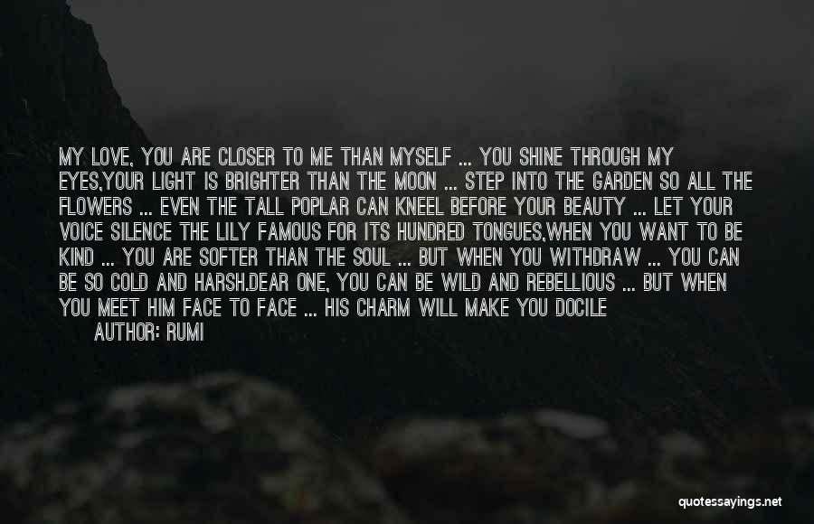Let Your Light Shine Through Quotes By Rumi
