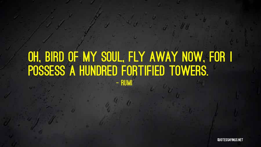Let Your Soul Fly Quotes By Rumi
