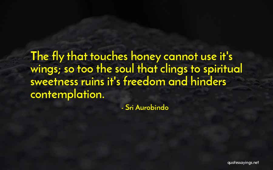Let Your Soul Fly Quotes By Sri Aurobindo