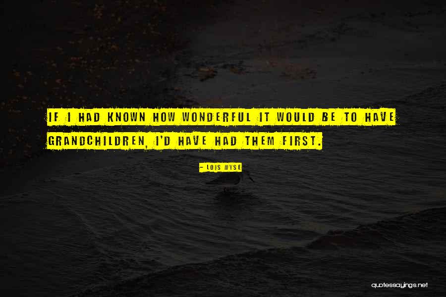 Letadla 3 Quotes By Lois Wyse Letadla 3 Quotes By Lois Wyse