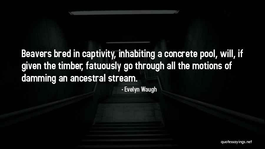 Leternel Retour Quotes By Evelyn Waugh Leternel Retour Quotes By Evelyn Waugh