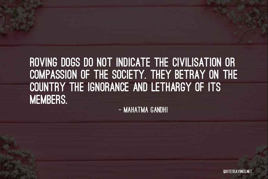 Lethargy In Dogs Quotes By Mahatma Gandhi Lethargy In Dogs Quotes By Mahatma Gandhi