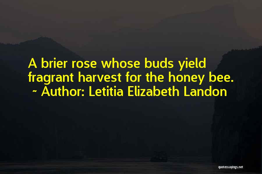 Letitia Elizabeth Landon Quotes 1154803