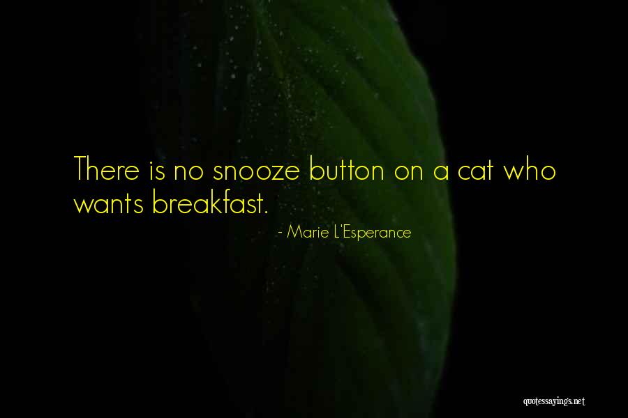 L'etranger Marie Quotes By Marie L'Esperance L'etranger Marie Quotes By Marie L'Esperance