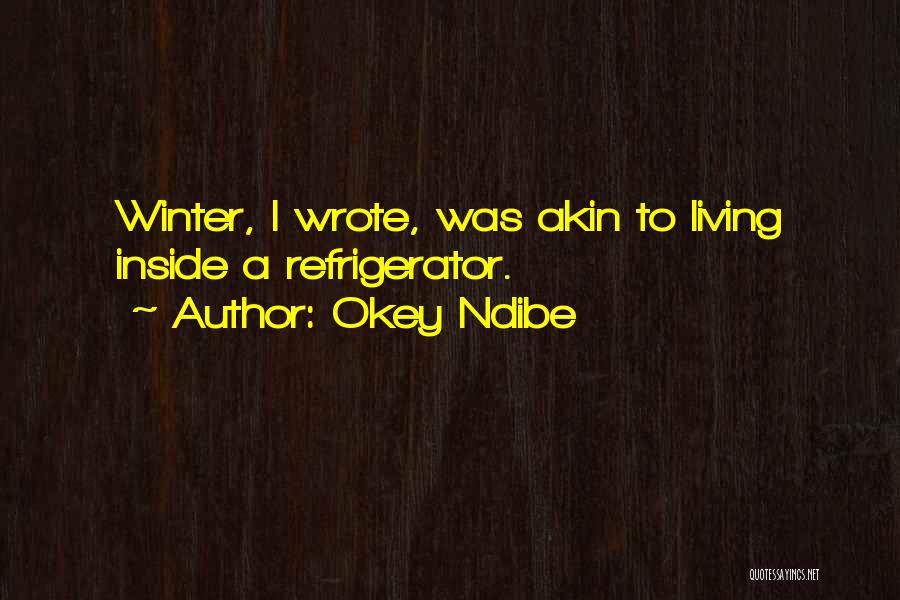 Letrinas Aboneras Quotes By Okey Ndibe