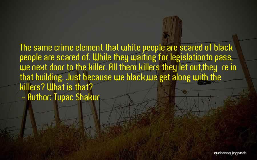 Let's All Get Along Quotes By Tupac Shakur