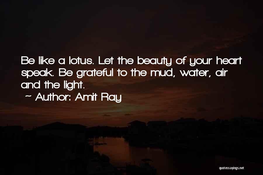 Let's Be Grateful Quotes By Amit Ray