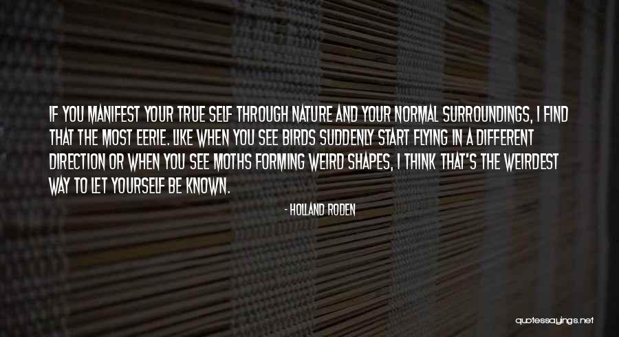 Let's Be Weird Quotes By Holland Roden Let's Be Weird Quotes By Holland Roden