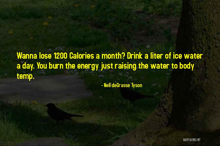 Let's Burn Calories Quotes By Neil DeGrasse Tyson