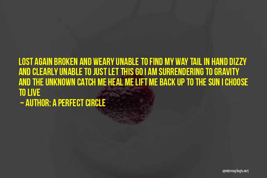 Let's Catch Up Quotes By A Perfect Circle